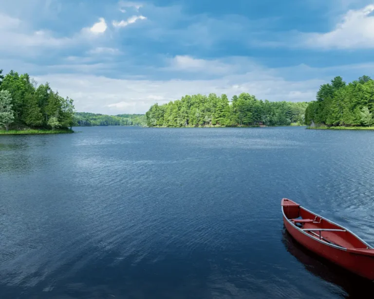 Boat in a lake